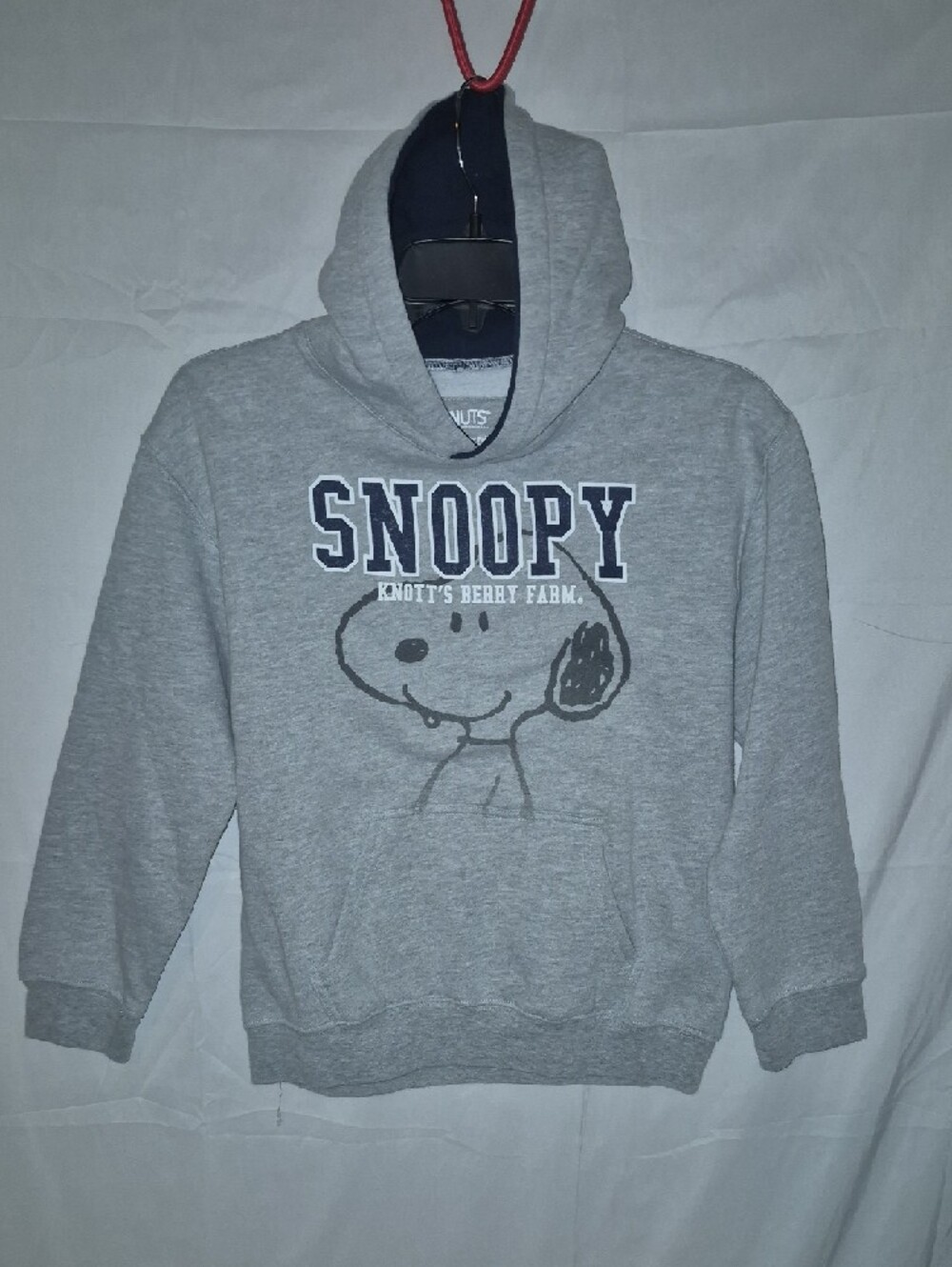 Peanuts Grey Youth Graphic Crewneck